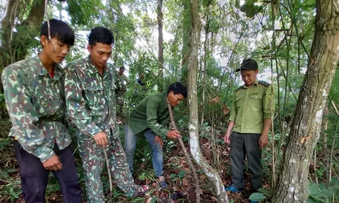 Ra mắt “Tổ Cộng đồng tuần tra bảo vệ rừng”