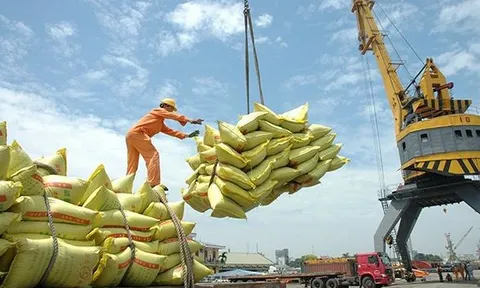 Việt Nam giữ vững vị thế nhà cung cấp gạo hàng đầu của Philippines