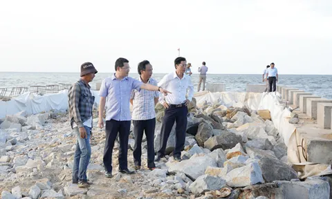 Đẩy nhanh tiến độ xây dựng hệ thống đê, kè chống sạt lở trước mùa mưa bão