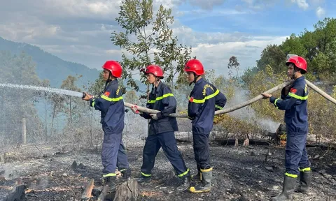 Hàng trăm người tham gia chữa cháy rừng