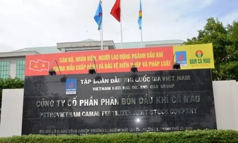 Chuyện gì đang xảy ra tại Công ty Phân bón Dầu khí Cà Mau?