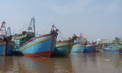 Hàng loạt tàu cá tại Bến Tre lắp thiết bị giám sát của Công ty Bình Anh bị mất tín hiệu