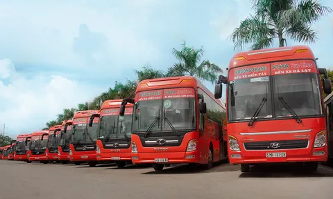 Phương Trang FUTABUSLINES – Chi nhánh TP.HCM nợ thuế hơn 14,5 tỷ đồng