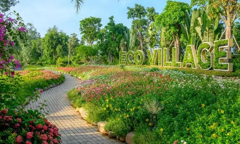 Giải bài toán thiếu thiên nhiên trong không gian sống của người Sài Gòn