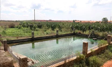 Xây dựng gần 1.300 ao trữ nước để ứng phó với biến đổi khí hậu