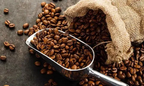 Mời doanh nghiệp tham dự Lễ hội cà phê (Coffee Festival) tại Thổ Nhĩ Kỳ
