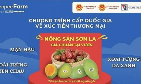 Nông sản Sơn La được ưa chuộng trên sàn thương mại điện tử