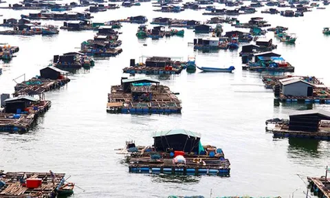 Triển khai các biện pháp tăng cường quản lý nuôi trồng thuỷ sản trên biển trong mùa mưa bão