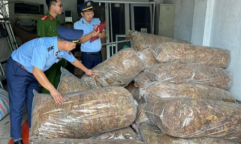 Cao Bằng: Thu giữ 550kg nguyên liệu thuốc lá không rõ nguồn gốc xuất xứ