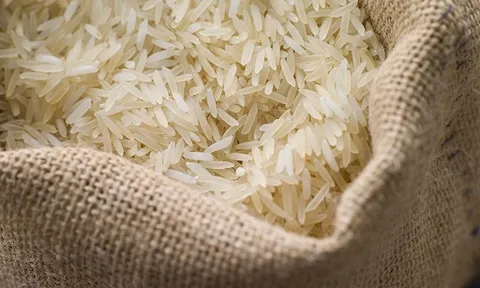 Bộ Nông nghiệp và PTNT đề xuất Chính phủ ra Chỉ thị về tăng cường xuất khẩu gạo