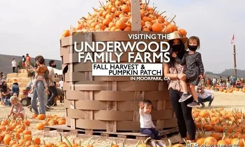Underwood – trang trại có dịch vụ tham quan giải trí với quy mô lớn nhất, kinh doanh thành công nhất ở California (kỳ 1)