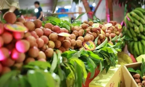 Mời doanh nghiệp tham dự Hội chợ rau quả châu Á iFresh lần thứ 16