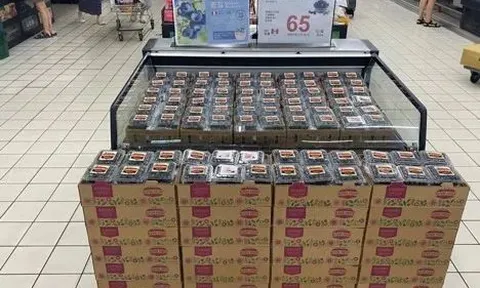 Lô việt quất Sekoya đầu tiên của Peru đã đến với chuỗi siêu thị Carrefout tại Đài Loan