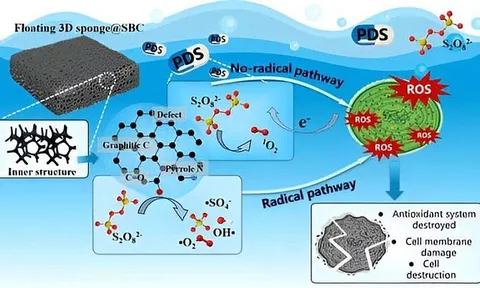 Xốp nổi xử lý tảo nở hoa gây hại