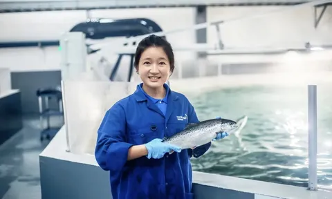 Nuôi cá hồi Ninh Ba trên đất liền và định vị thương hiệu trong thị trường cao cấp