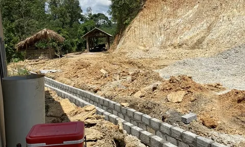 Trạm cân thu mua lâm sản trên đất lâm nghiệp có được phép hoạt động?