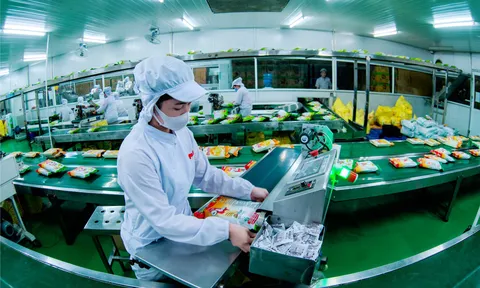 Nâng cao năng lực thực thi Hiệp định vệ sinh an toàn thực phẩm và kiểm dịch động, thực vật (SPS)