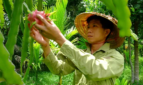 Quảng Nam: Trang trại tổng hợp bên hố Giang Thơm sẽ là nơi trải nghiệm giá trị cho du khách