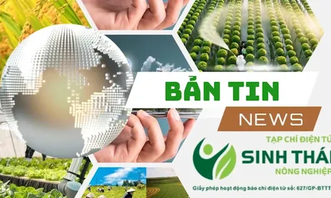 Ngũ cốc dinh dưỡng HADALIFA - sản phẩm OCOP chất lượng cao