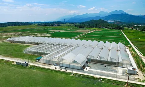 Đầu tư vào lĩnh vực nông nghiệp công nghệ cao: Tập đoàn VinGroup không còn mặn mà?