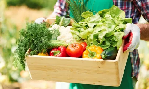 Đảm bảo vệ sinh thực phẩm có nguồn gốc từ nông nghiệp