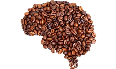 Hợp chất cà phê cải thiện sự suy giảm trí nhớ và học tập liên quan đến tuổi tác