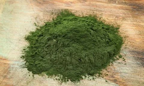 Công nghệ plasma biến tảo lam thành "thần dược" chữa lành vết thương