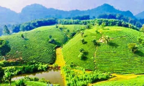 Hợp nhất đa lĩnh vực: Tương lai sáng của du lịch văn hóa gắn với nông thôn