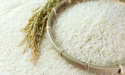 Nhập khẩu thêm 1,5 triệu tấn gạo, Indonesia xác nhận chọn nguồn cung từ Việt Nam và Thái Lan