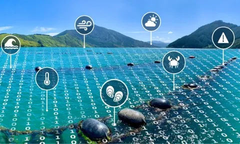 Nuôi trồng thủy sản: Công nghệ hiện đại tạo nguồn nguyên liệu thực phẩm an toàn