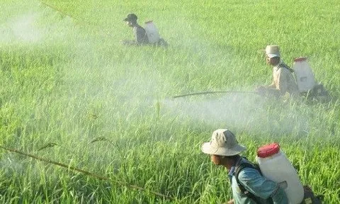Nghiên cứu xây dựng hệ thống đệm sinh học xử lý hóa chất bảo vệ thực vật tại vùng canh tác nông nghiệp trên địa bàn thành phố Hà Nội