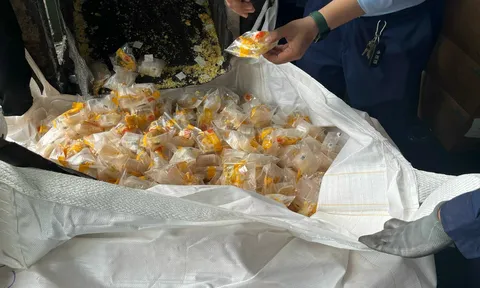 TP.HCM: Tiêu hủy gần 8.500 cái bánh Trung thu không rõ nguồn gốc xuất xứ