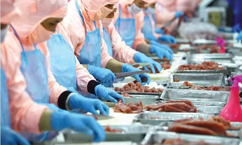 Lai Châu: Quản lý chặt chẽ vệ sinh an toàn thực phẩm trong sản xuất thủy sản phục vụ xuất khẩu