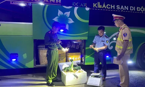 Phát hiện và xử lý phương tiện vận chuyển sâm củ không đảm bảo vệ sinh an toàn thực phẩm