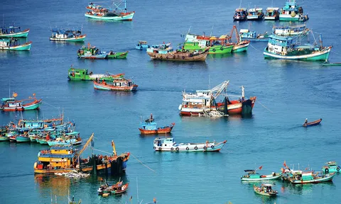 Thủ tướng chỉ đạo phải quyết tâm gỡ cảnh báo "Thẻ vàng" của EC vào cuối quý 2/2024