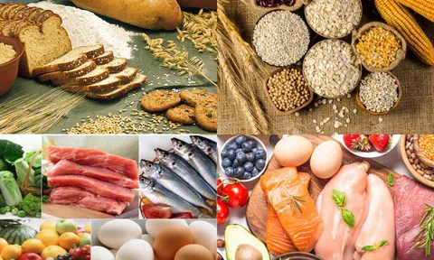 FAO: Dự kiến nhập khẩu thực phẩm sẽ đạt mức kỷ lục mới trong năm 2023