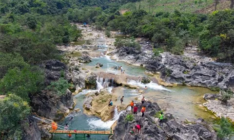 Quảng Bình: Chuyển mục đích sử dụng 2,71352 ha rừng tự nhiên để thực hiện Dự án Đường nối từ bản Hang Chuồn đi Khe Nước Lạnh