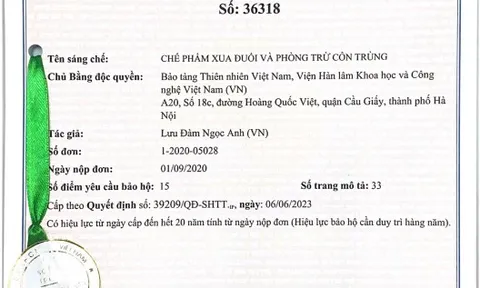 Chế phẩm xua đuổi và phòng trừ côn trùng từ cây cỏ Việt Nam