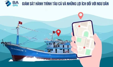 23/11/2023 – Hội thảo “Hướng dẫn tổ chức triển khai thực hiện hệ thống truy xuất nguồn gốc thủy sản khai thác điện tử” và “Chia sẻ kinh nghiệm triển khai vận hành hệ thống giám sát tàu cá”