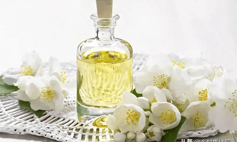 Shubra Beloula: Làm du lịch từ nghề trồng hoa nhài