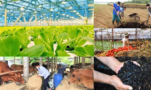 Kinh tế tuần hoàn - hướng đi mới cho phát triển hợp tác xã nông nghiệp ở Việt Nam (Kỳ 2: Mô hình kinh tế tuần hoàn trong xây dựng hợp tác xã nông nghiệp ở Việt Nam)