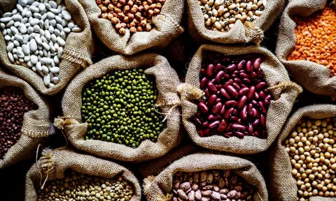 Công nghệ khử trùng sử dụng trong bảo quản ngũ cốc