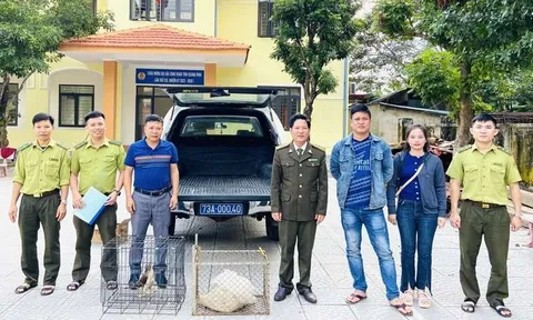 Quảng Bình: Tiếp nhận cá thể chim ưng và trăn đất quý hiếm từ người dân