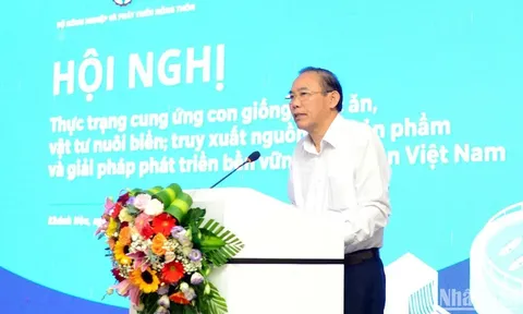 Tìm giải pháp phát triển nuôi biển công nghiệp