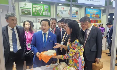 Gần 40 doanh nghiệp trưng bày các sản phẩm chuyên ngành nông sản và thực phẩm chế biến tại Hội chợ Quốc tế CIIE 2023