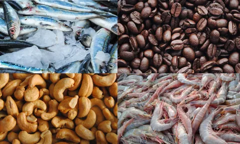 Sắp diễn ra Hội nghị Xúc tiến thương mại và kết nối giao thương doanh nghiệp Việt Nam - Trung Quốc trong lĩnh vực nông, thủy sản