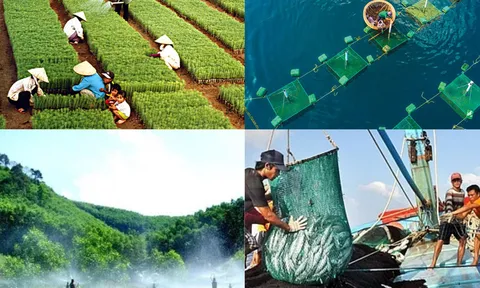 Lâm nghiệp và thủy sản tiếp tục có một năm 2023 đầy khó khăn