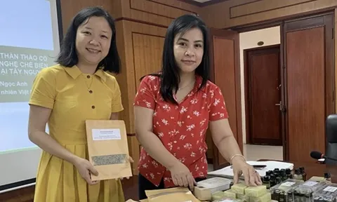 Chế phẩm từ thảo mộc xua đuổi và phòng trừ côn trùng