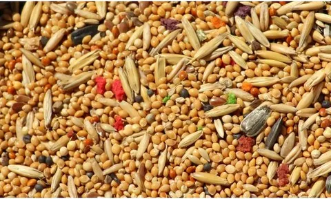FAO: Chỉ số giá thực phẩm ổn định trong tháng 11/2023