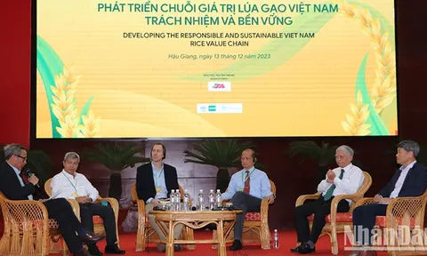 Phát triển chuỗi giá trị lúa gạo Việt Nam trách nhiệm và bền vững